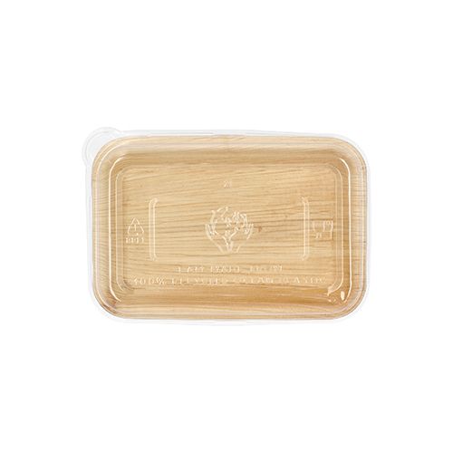 Palmblatt Schale eckig, mit transparentem Deckel aus rPET, 12 x 18 cm, VPE= 50 Stück (5 x 10)