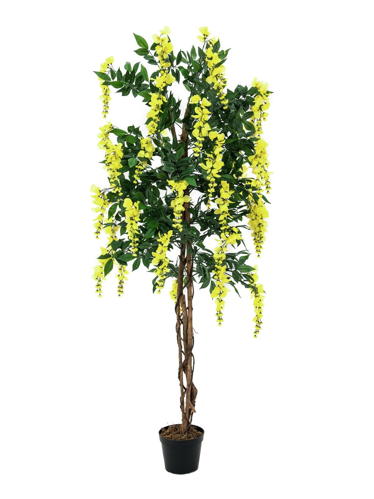 EUROPALMS Goldregenbaum, Kunstpflanze, gelb, 150cm
