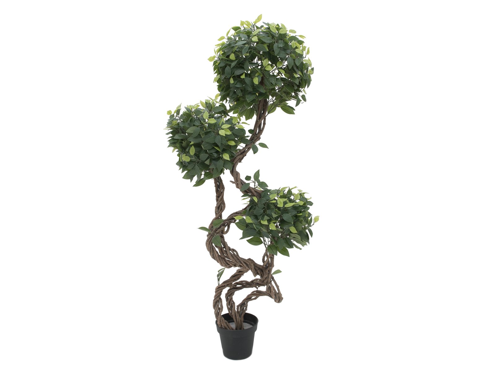 EUROPALMS Ficus Multi Spiralstamm, Kunstpflanze, 160cm