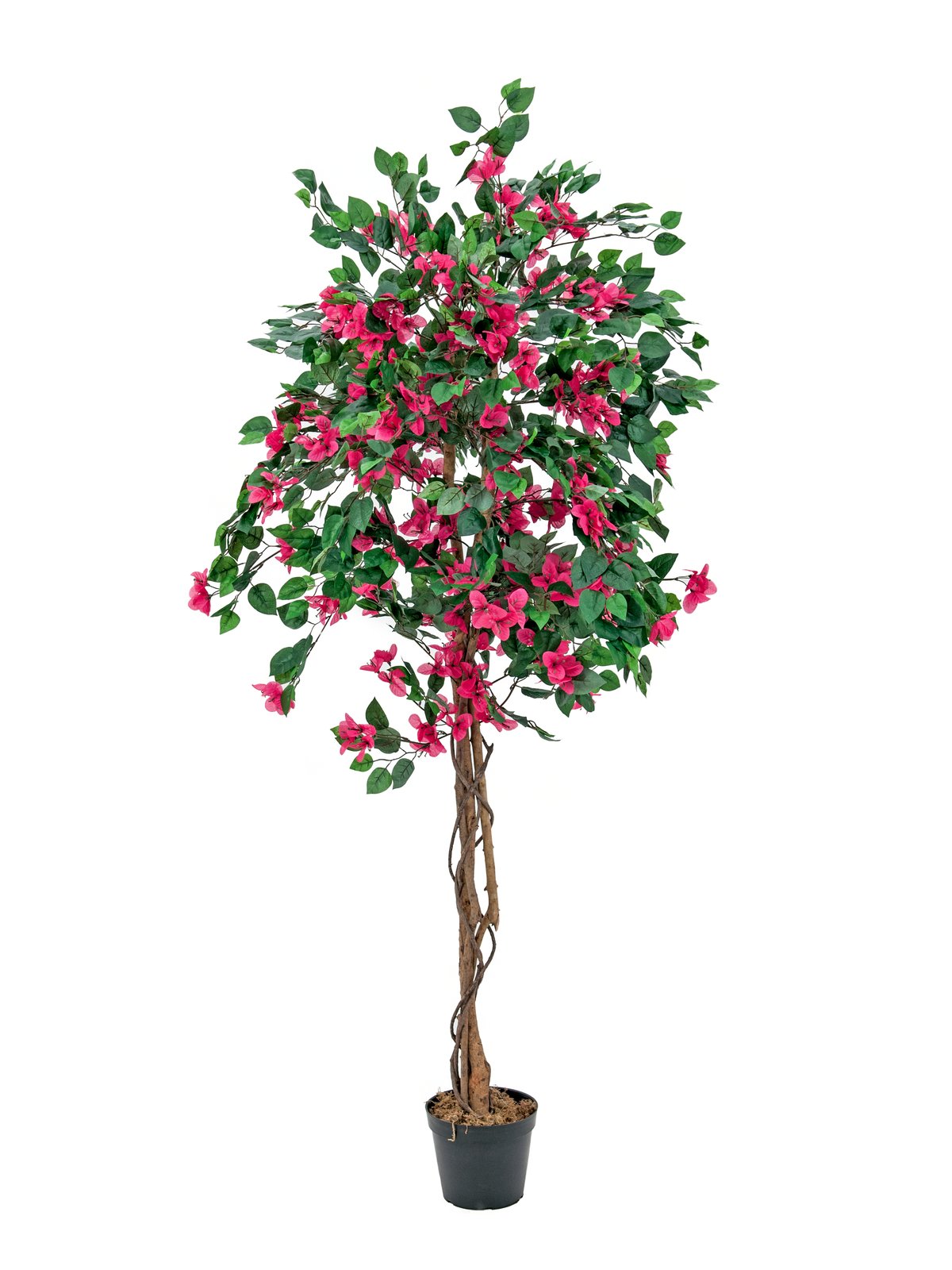 EUROPALMS Bougainvillea, Kunstpflanze, rosa, 180cm