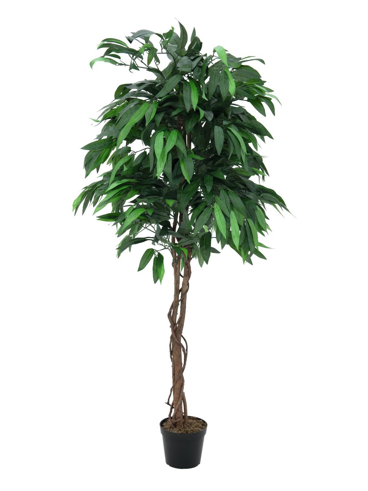 EUROPALMS Dschungelbaum Mango, Kunstpflanze, 180cm