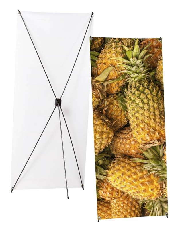 X-Banner Budget verschiedene Größen