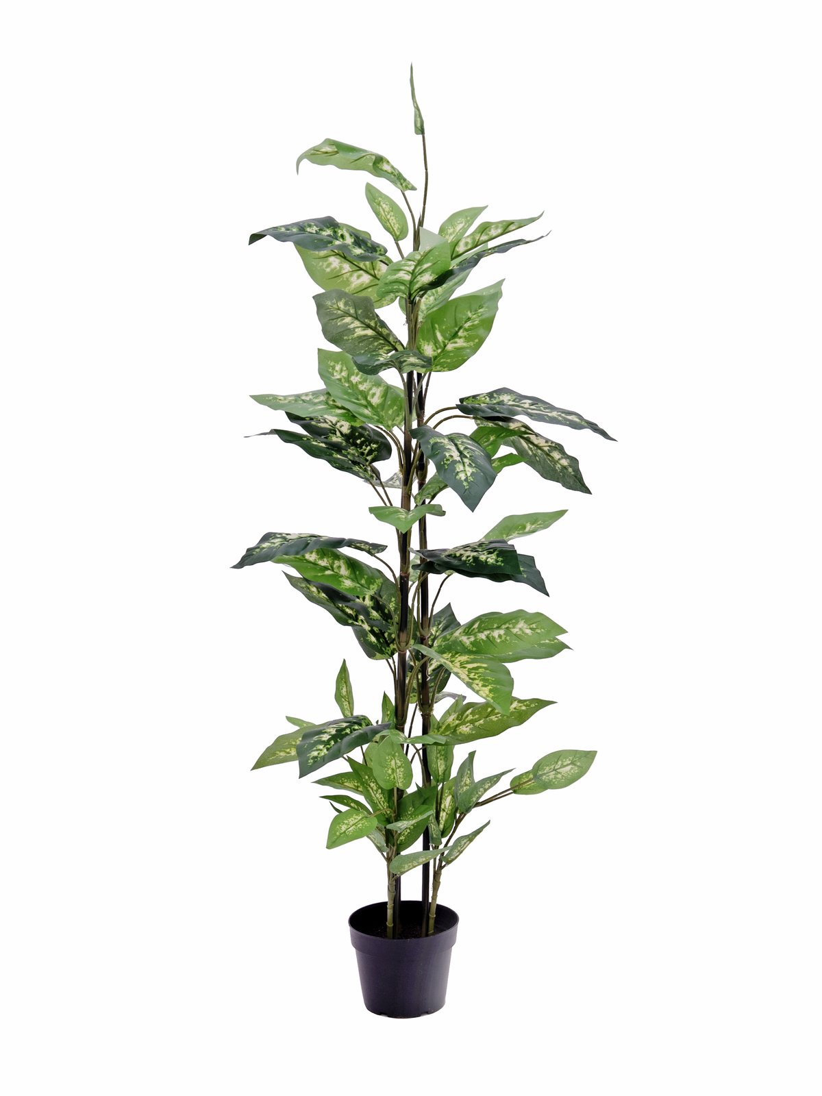 EUROPALMS Dieffenbachia, künstlich, 120cm