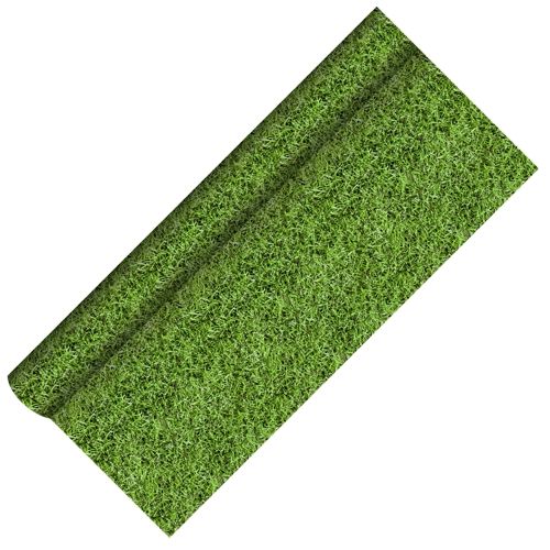 Gras, Pflanze, Dekoration für Zuhause