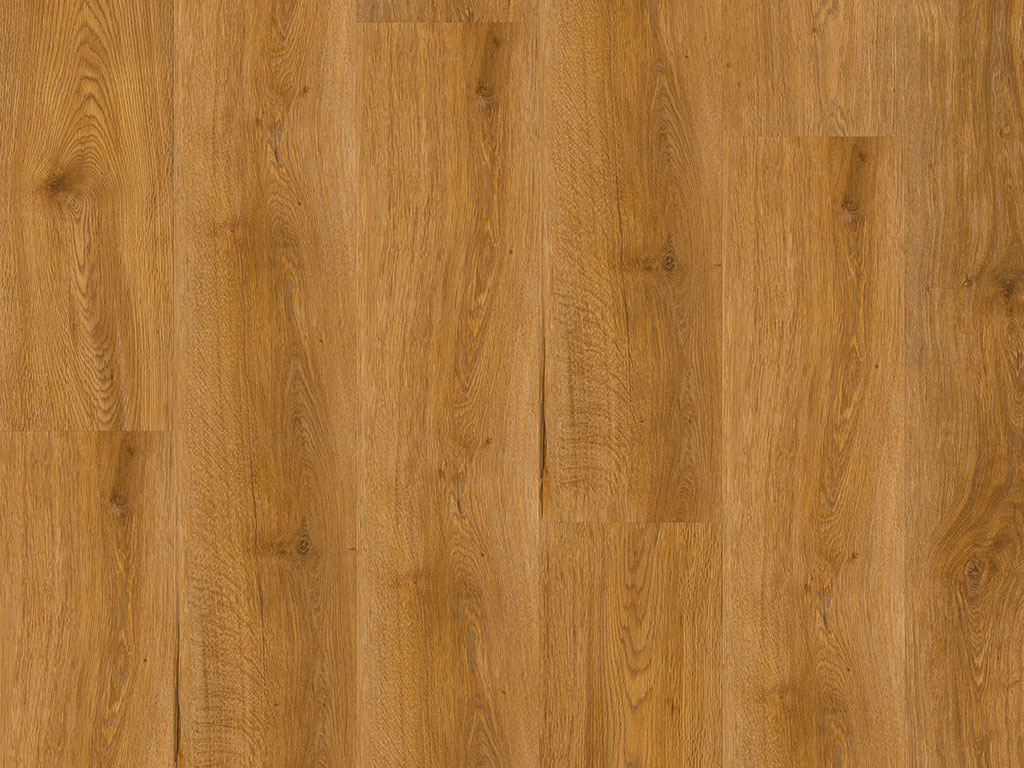 CHECK comfort 2517 Seva Eiche Lang- und Breitdiele inkl. Trittschall (Kork) - comfort Professional Collection