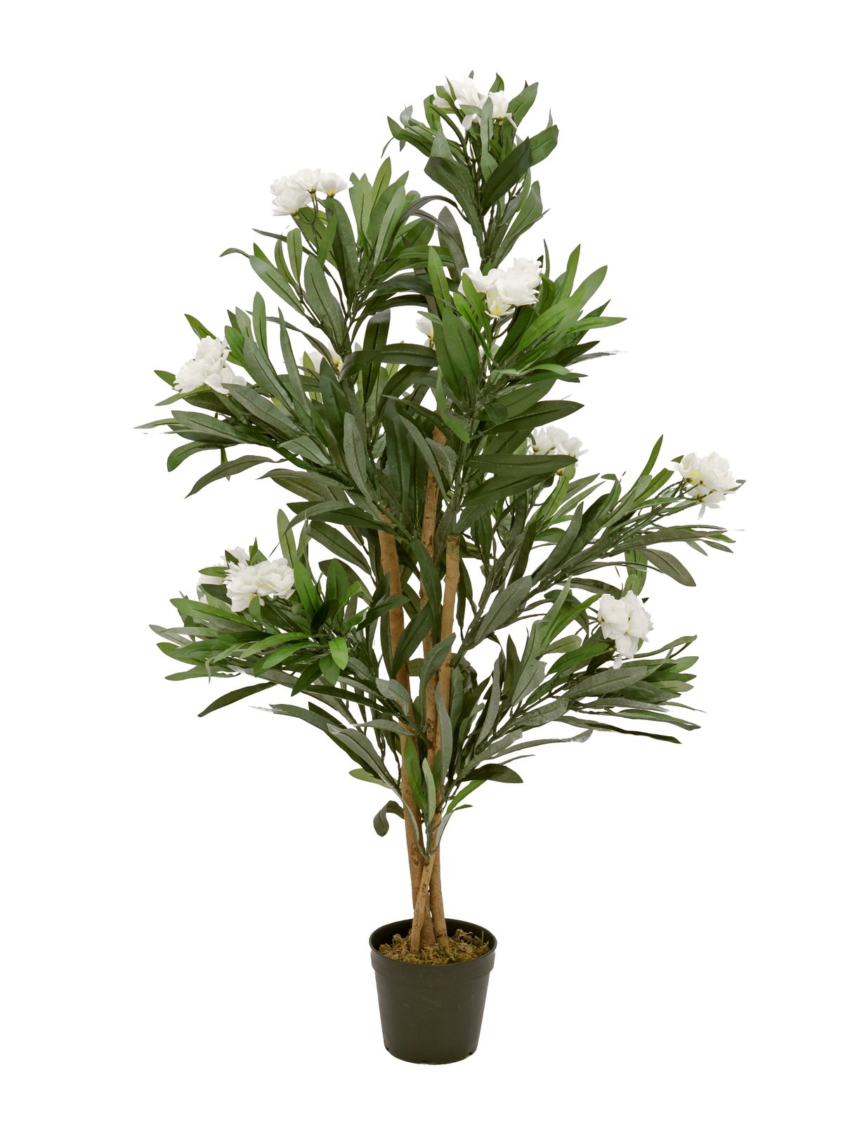 EUROPALMS Oleanderbaum, Kunstpflanze, weiß, 120 cm