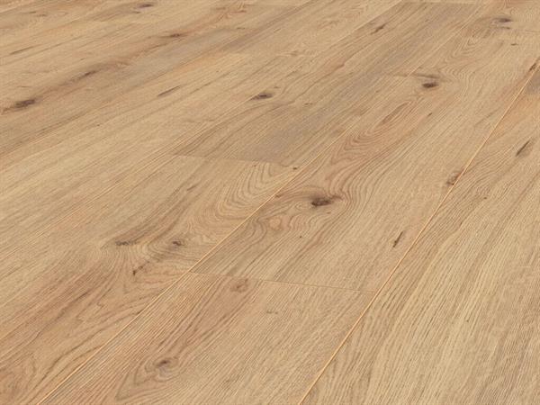 JANGAL Laminat Bright Oak 8mm National Park Line - National Park Line Pro