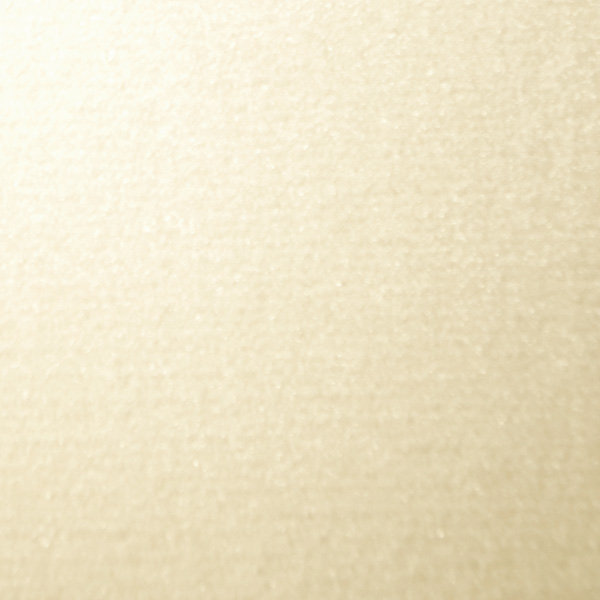 Velours Messeteppich Classic Eco beige