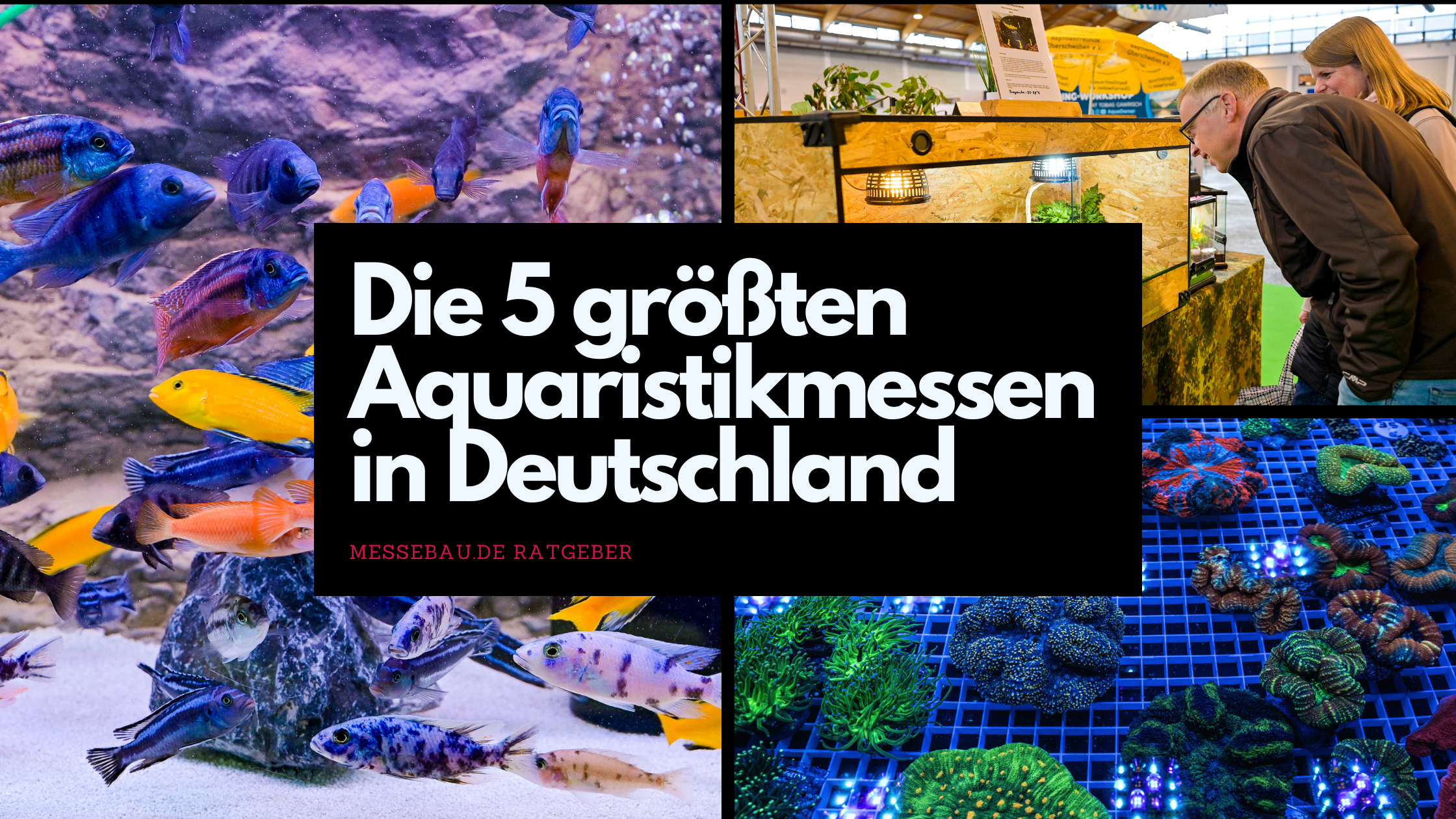 Die 5 größten Aquaristikmessen in Deutschland