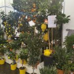 IPM Messeaussteller 2023