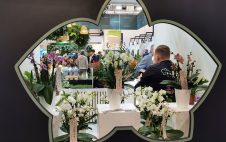 IPM Messe Durchblick