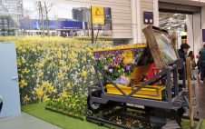 IPM Messe Zwiebelblumen